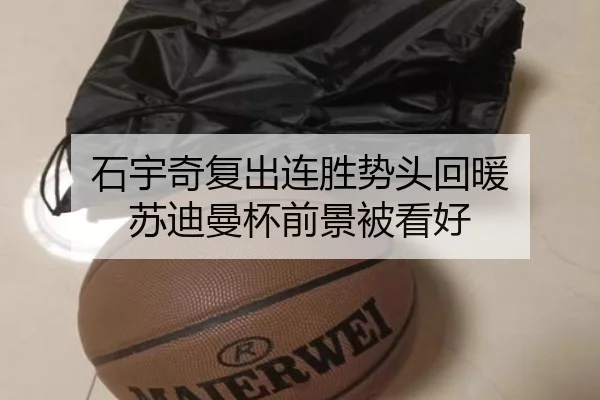 石宇奇复出连胜势头回暖 苏迪曼杯前景被看好（hth）