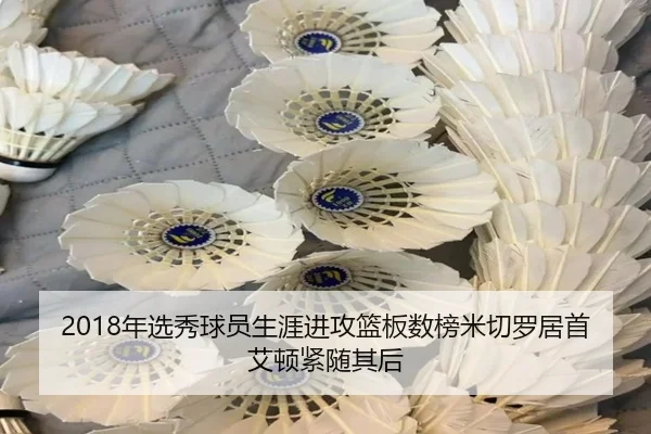 2018年选秀球员生涯进攻篮板数榜米切罗居首艾顿紧随其后（hth）