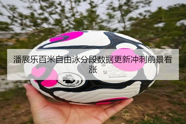 潘展乐百米自由泳分段数据更新冲刺前景看涨（hth）
